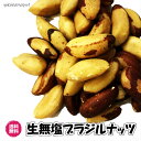 （生無塩ブラジルナッツ 160g／80g×2パック）生ナッツ ブラジル産 無塩・無添加　ナッツ 全国送料無料