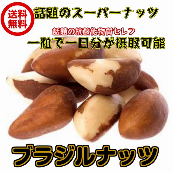 送料無料無塩・無添加生ブラジルナッツ