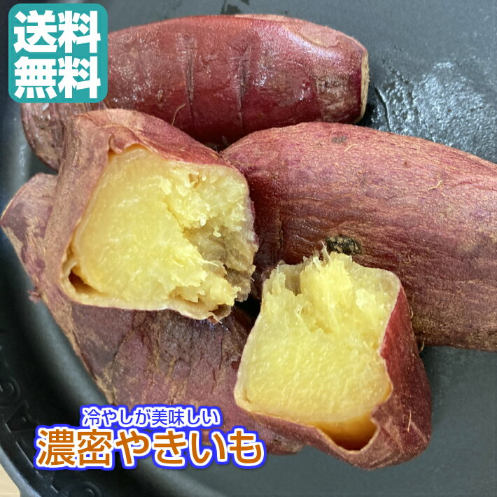 冷やし焼き芋 冷やし 焼芋 やきいも 蜜芋 濃厚 濃蜜やきいも 焼きいも 240g ／袋 さつま芋 青果 無添加 焼き芋 国産 紅はるか シルクスィート シルクスイート 冷やしさつまいも スイーツ 濃密 やきいも 芋菓子 美味しい ブランド 贈り物 ギフト 送料無料 冷蔵 クール便