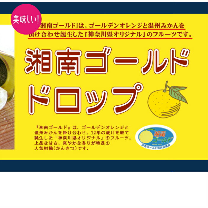【ふるさと納税】2025年　先行予約　受付中　シャインマスカット　晴王　2房　約1.2kg 岡山県産 種無し 皮ごと食べる みずみずしい 甘い フレッシュ 9月～10月発送 | フルーツ 果物 くだもの 食品 人気 おすすめ 送料無料