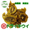 無添加 ドライキウイ 140g/70gが2パック ドライフル...