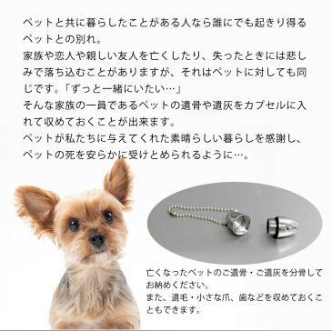 【名入れ不可】遺骨カプセル キーホルダー オーバル ボールチェーン たまご型 ゴールド シルバー ペット 思い出