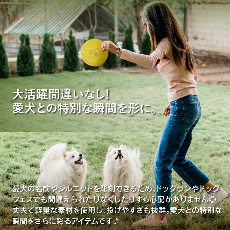 ��̾����� �����٤륷�륨�åȥǥ������ �եꥹ�ӡ� �ե饤�󥰥ǥ����� ���ꥳ�� ���餫�Ǻ� �ڥå� ������� �� ������ �淿�� �緿�� �ȥ졼�˥� �ɥå���� ��å� �������� ���꡼�� ����� �֥롼