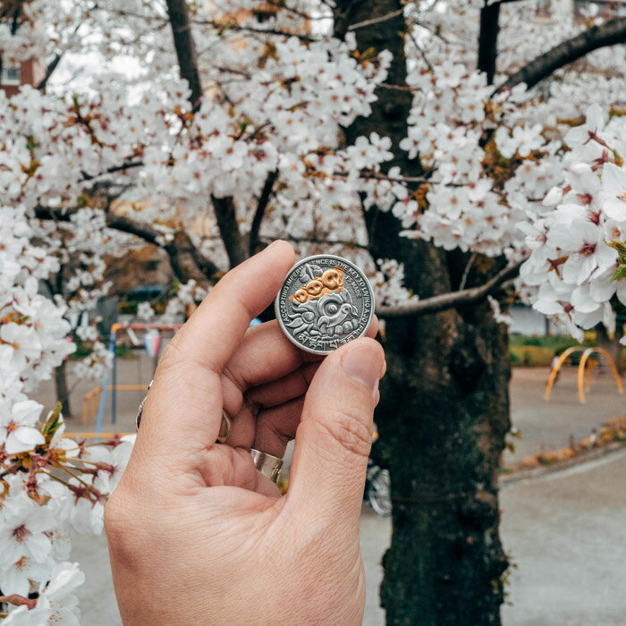 無常コイン 微笑むドクロ スケッチ 金銀仕様 鑑賞用コイン チベット密教 シダリンの主 シルバー925 22Kゴールド 幸運のコイン屍陀林王 チティパティ ラッキーコイン メモリアルコイン ハンドメイド