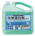 大一産業 FSCファースト・フォーム除菌ブリーチ 5kg 食品添加物 漂白 除菌 食器 調理機器 希釈(3)