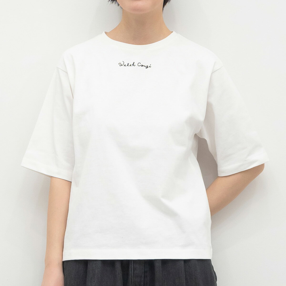 樂天商城 - [公式ストア] SUN VALLEY サンバレー / 空紡糸 天竺 刺繍入り 6分袖 Tシャツ