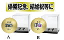 ★画像、文字入れ、専用ケース付きバレーボール★「金のサインボール5号球」V5M9500-CC50N