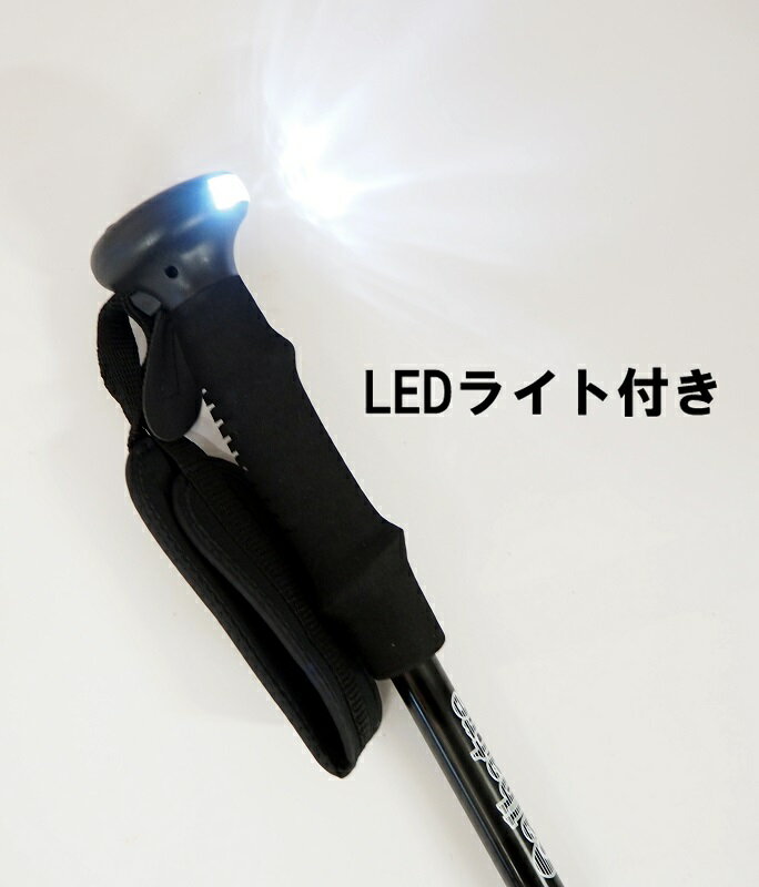 LED�饤����ALBATRE����Хȡ���I�����ʼ��֥ȥ�å��󥰥ݡ����AL-TIP2111��1�ܢ�