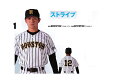 ZETTゼット昇華プリント野球ユニフォーム「ストライプユニフォーム」BUSFDP100(フルオープン)、BOTFDP100(1つボタン)