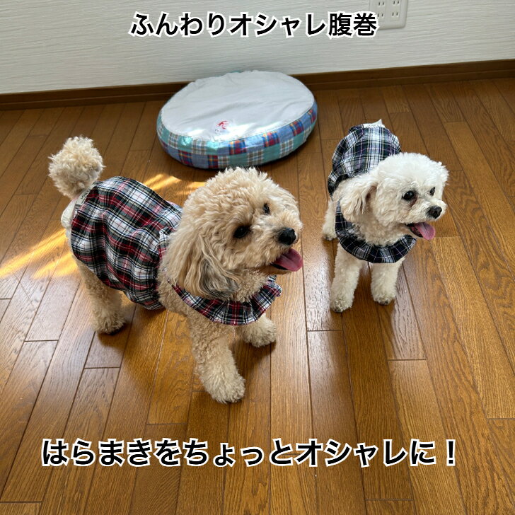 【送料無料】ペット はらまき お腹の冷え 冷房冷え 丸洗いOK 清潔 洗える 洗濯 テラヘルツ遠赤外線 お腹温め ゲージ内 室内 ペット用品 椅子 イス 車内 ソファー ペットはらまき 犬 猫 いぬ ねこ うさぎ 子犬 小型犬 中型犬