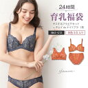 24h育乳 ブラジャー&ナイトブラ&ショーツ 3点 セット 育乳ブラ キスするブラ キレイdeナイトブラ 上下セット バストアップ 脇高 脇肉スッキリ 大きいサ...