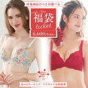 【3枚組 送料無料】ブラジャー 福袋 超盛ブラ(R) 3枚入福袋 (下着 産後 レディース 女性 バストアップ 谷間 シームレス Tシャツブラ 盛れるブラ 超盛りブラ 脇高ブラ ブラ かわいい下着 ランジェリー ハッピーバッグ 小胸 脇肉 贅肉 3点 盛れる バスト 黒 ブラック 可愛い)