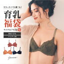 【カラータイプが選べる！キスするブラ3点入り福袋】~4月29日(水)23:59pm迄 キスするブラ 3点セット 下着 レディース…