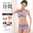 グラモアブラ＆サニタリーショーツセット 育乳ブラ ブラジャー 小胸 谷間 グラモアブラ 自胸 バストアップ 補正下着 集肉 美乳 美胸 脇肉 大きいサイズ 補正ブラ ブラ 産後 グラモア サニタリー FT0087-248SET 