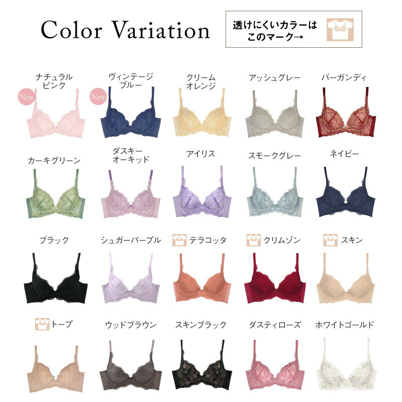 【初回限定クーポンあり！】ブラジャー ワイヤー 大きいサイズ 脇肉補正 着痩せ ブラ 育乳ブラ パカパカしない ブラ 小胸 下垂 小胸 下着 谷間 脇肉 背肉 美胸 離れ乳 ブラ 補正下着 補正 脇高 産後 グラモアブラ 送料無料 初回返品交換0円