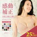 【今だけ25%OFF!! ~7/4(金)9:59am】ブラジャー 大きいサイズ 着痩せ 段差レス 痩せ見え アンダー80 楽天1位 補正下着 補正ブラ 補正 補整 美胸 美乳 集肉 谷間 産後 痛くない 育乳ブラ バストメイク 脇高 グラモアブラ FT0087 福チケ 初回返品交換0円