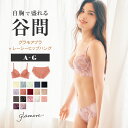 【新色追加！】グラモアブラブラ＆ヒップハングショーツセット 育乳ブラ ブラジャー 小胸 谷間 グラモアブラ 自胸 バストアップ 補正下着 集肉 美乳 美胸 脇肉 大きいサイズ 補正ブラ ブラ 産後 グラモア FT0087-179SET【送料無料】【初回返品交換0円】