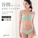 楽天e-gate shop育乳ブラ ノンワイヤー ブラジャー セット ショーツ イージーアップブラ アンダー80 上下セット 大きいサイズ バストアップ 盛る 脇高 脇肉スッキリ 育乳 谷間 産後 グラモア glamore FT0197-1 【初回返品交換0円】 【送料無料】