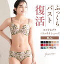 楽天e-gate shopキスするブラ&スッキリショーツセット 育乳ブラ ブラジャー 小胸 谷間 自胸 バストアップ 補正下着 美乳 脇肉 大きいサイズ 補整 補正ブラ 盛りブラ ブラ 産後 痛くない グラモア FT0232-234SET【送料無料】【初回返品交換0円】