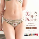 【春の新色】ショーツ レディース 綿 コットン スタンダードショーツ キスするブラ キレイdeナイトブラ セットショーツ パンツ レース 下着 女性 食い込まな...