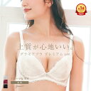 ブラジャー 育乳ブラ 日本製 大きいサイズ 小さいサイズ 補正下着 補整 小胸 かわいい バストメイク 育乳 集肉 背肉 バストアップ 谷間 産後 フローラルブラ グラモアコレクション 送料無料 初回返品交換0円