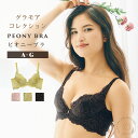 【高レビュー★4.5】ピオニーブラ｜ブラ 総レース 育乳ブラ ブラジャー 日本製 グラモアコレクション 育乳 集肉 美乳…