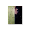 『FUTURA PROXIMA CURATED FOR GUCCI』 蔦屋家電