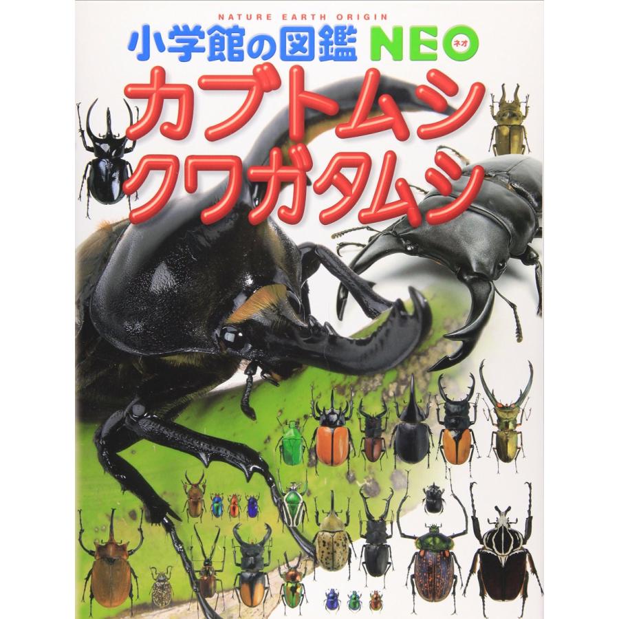 『小学館の図鑑NEO　カブトムシ・クワガタムシ』 監修/小池啓一、 写真／新開 孝 蔦屋書店 蔦屋家電 ギフト 誕生日 プレゼント