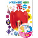 小学館 小学館の図鑑 NEO 『小学館の図鑑NEO　花　DVDつき』監修・執筆・写真／多田多恵子　他 蔦屋家電 ギフト 誕生日 プレゼント