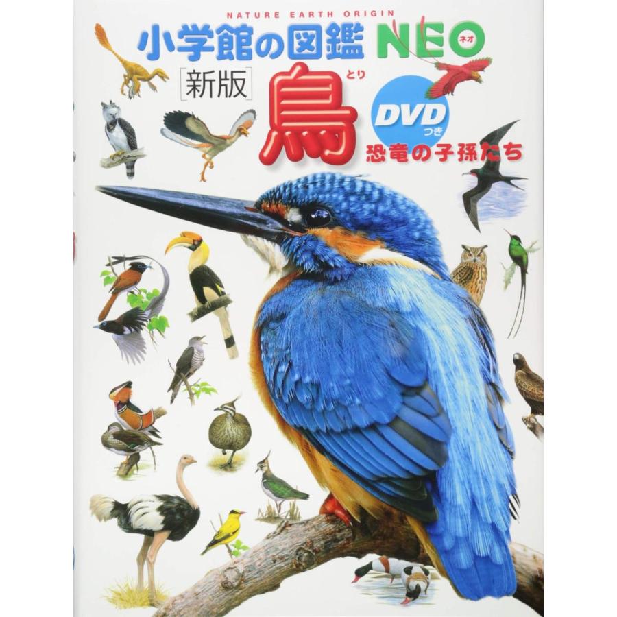 『小学館の図鑑NEO〔新版〕 鳥 恐竜の子孫たち DVDつき』 監/上田恵介 著/柚木 修 画/水谷高英 蔦屋家電 ギフト 誕生日 プレゼントのサムネイル