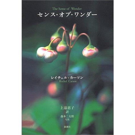 楽天二子玉川 蔦屋家電 楽天市場店『センス・オブ・ワンダー』 レイチェル・L. カーソン/著, 上遠 恵子/翻訳 （新潮社） 蔦屋家電