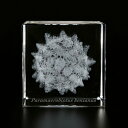 Sola cube Micro クマムシの卵 蔦屋書店
