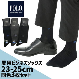 侮  ӥͥå 3­å  POLO 23cm25cm  ꥰ    å 3P  ݥ Ʊ3­å  POLO 25cm27cm 