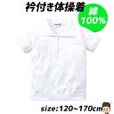 体操服 体操着 白 半袖 衿付き 前ファスナータイプ 小学生 制服 通販 学生服 シャツ 運動着 通学用 小学生 小学校 小学生用 学校用 入学 買い替え 12...