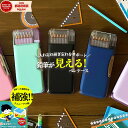 【蓋強化リニューアル版】うかサポ 筆箱 透明 シンプル 小学生 小学校 ふでばこ 男の子 女の子 箱型 無地 小学 一年生 かわいい おしゃれ 両面開き マグネット ペンケース sonic うかさぽ ソニック ブルー ブラック