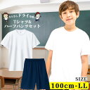 【全品無条件10%OFFクーポン】体操服 半袖 ハーフパンツ 上下セット ドライ生地 体操着 短パン バスパン ジュニア 半ズボン ネイビー ポケット付き 無地...