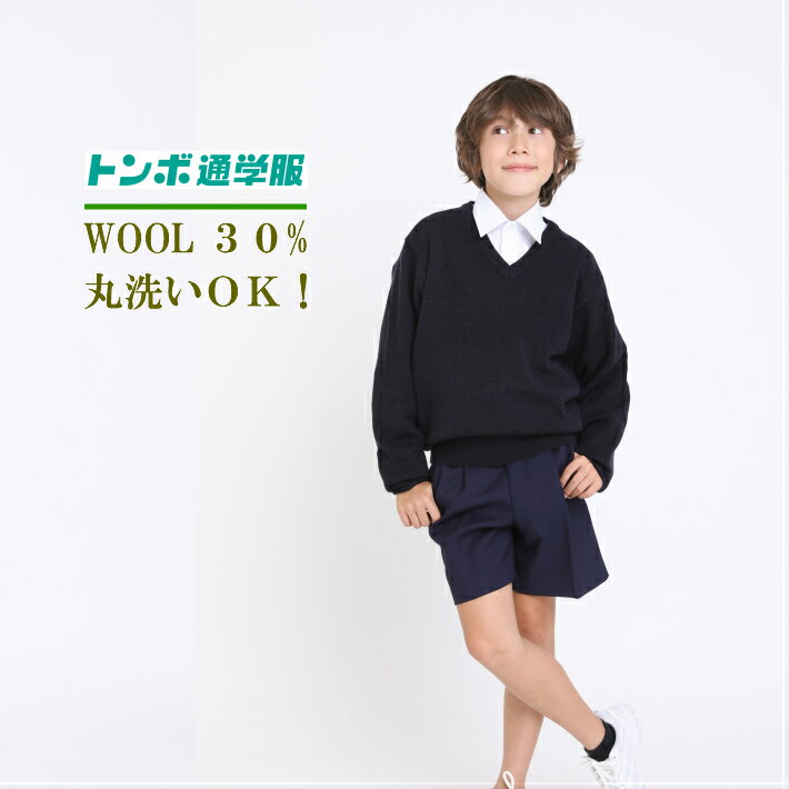 ウール30%丸洗いOK！ 学生服のトンボ セーター丸洗いOK 小学生 ニット 中学生 ウール 毛玉になりにくい 頑丈 スクール ss学生服 小学校