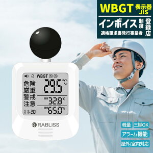 熱中症指数計 黒球式熱中症指数計 熱中症対策 工事現場 球式 黒球 WBGT 測定器 ラブリス 小林薬品 時計 熱中症計 温湿度計 時計表示付き アラーム機能 カラビナ付 暑さ指数計 温度計 屋内 屋外 室内 外 学校 ko392