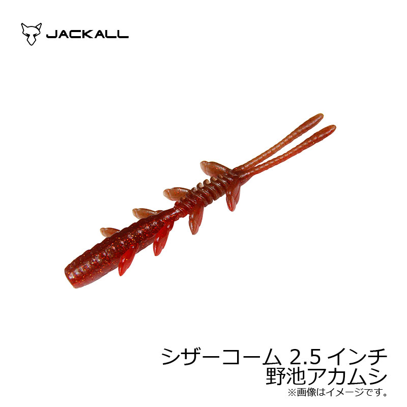 Worm - ジャッカル　シザーコーム 2.5インチ 野池アカムシ