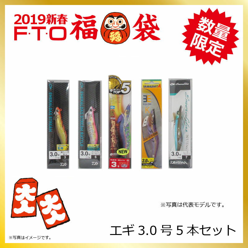 FTO　2019年 福袋　エギ3.0号セット　【釣具　釣り具】