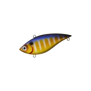 バイブレーションルアーの基本 使い方からおすすめのルアーまで ペスカ バイブレーションルアーの基本 使い方からおすすめのルアーまで ペスカ