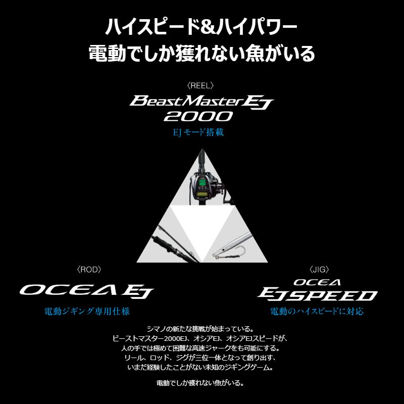 EJスピード 300g キョウリンシルバー (3)