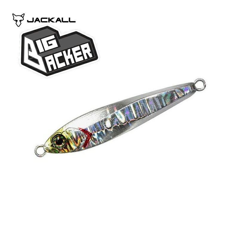 ジャッカル(Jackall)　ビッグバッカー JIG 30g シラスシルバー/マグマウェーブホロ　