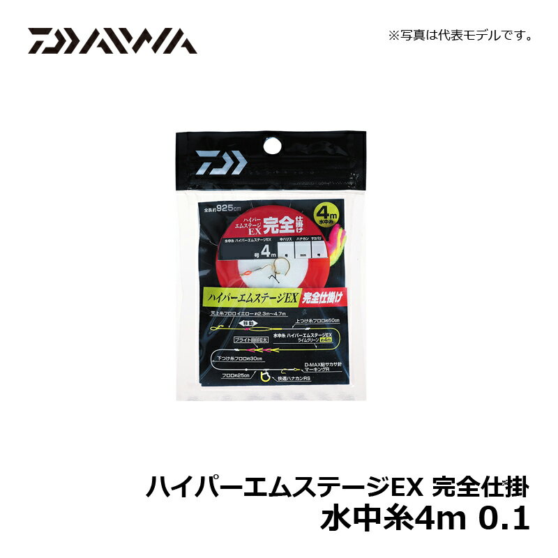 ダイワ ハイパーエムステージEX 完全仕掛 水...の紹介画像3