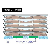 ダイワイカ様トレーALS3枚セット/イカ釣り保冷鮮度を保つクーラー取付
