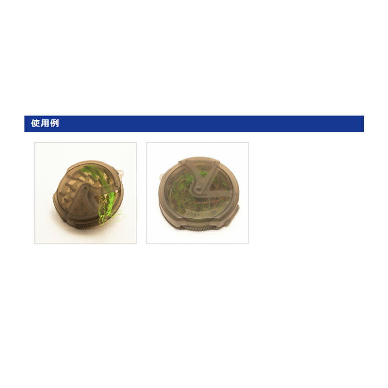 ����������ڤ�ü�߻奯���磻����� �֥�å� / �������� ������ ����Ȣ������������