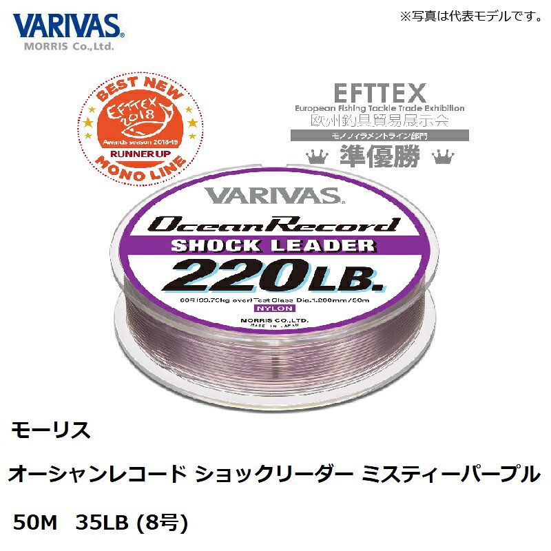オーシャンレコードショックリーダー [ナイロン] 8号 の商品画像3枚目