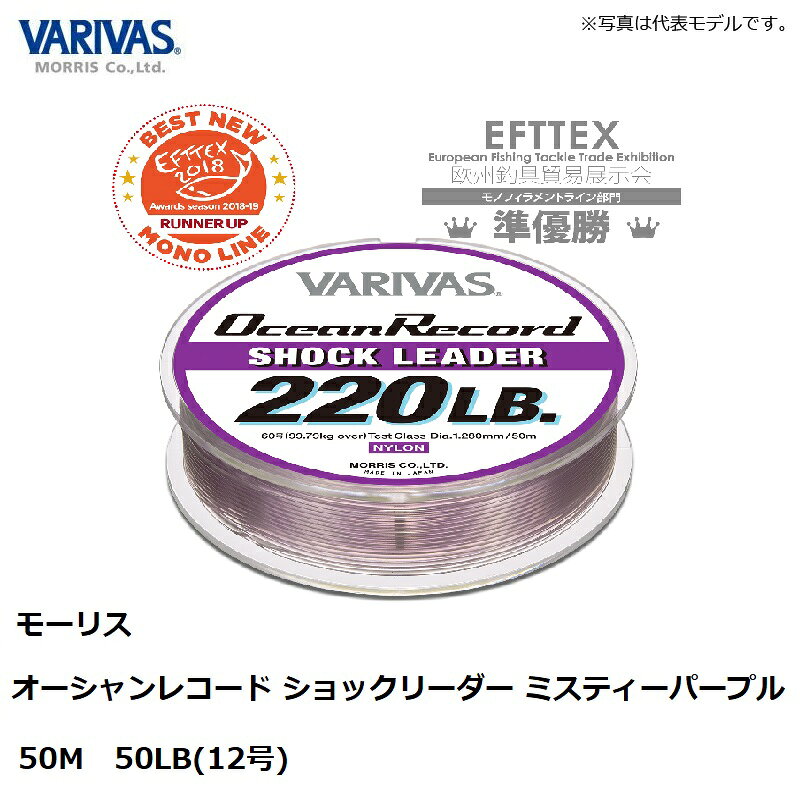 オーシャンレコードショックリーダー [ナイロン] 12号 の商品画像3枚目