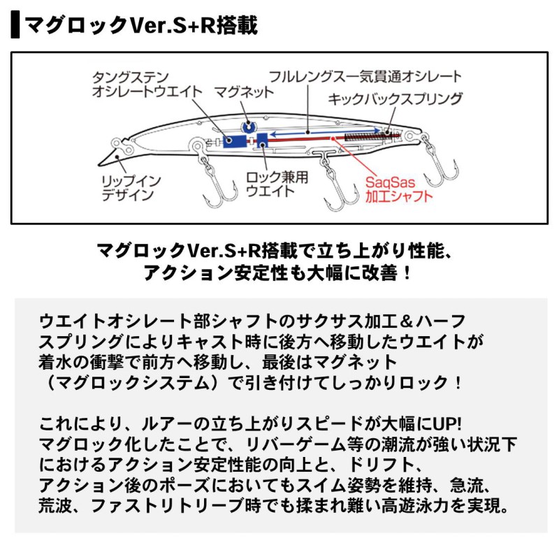 ショアラインシャイナーZバーティスR125F チャートバックパール の商品画像3枚目