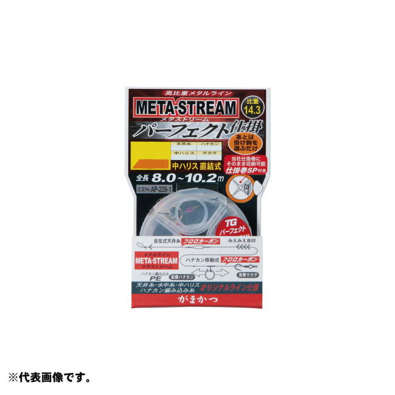 ޤġAP229-1 ᥿ȥ꡼ѡեȻų 6.5-0.04